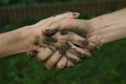 Boden für alle - Zwei erdige Hände die in einander greifen- © Umweltbundesamt