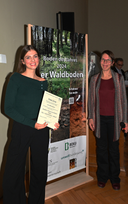 &nbsp;-&nbsp;-&nbsp;©&nbsp;Chloe Potter