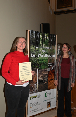 &nbsp;-&nbsp;-&nbsp;©&nbsp;Chloe Potter