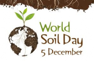 World Soil Day Logo