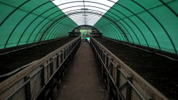 Wurmkompost-Produktionshalle bei Vermigrand