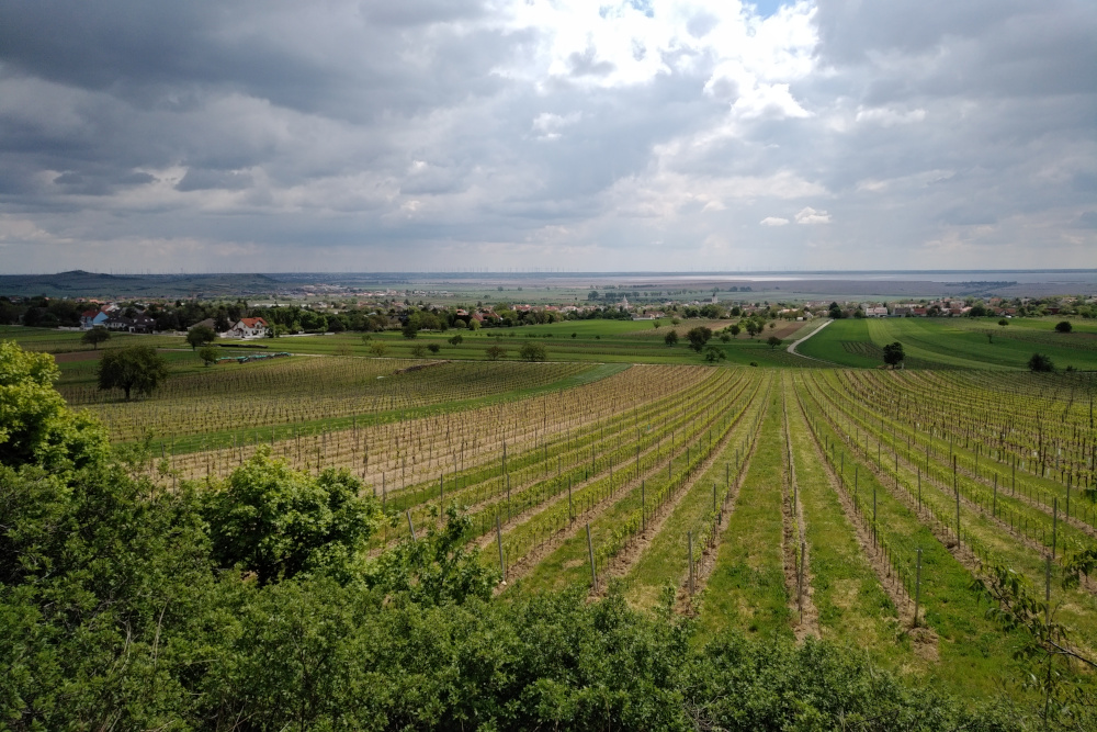 Martin Gerzabek - Fest-Symposium Martin Gerzabek - Fest-Symposium